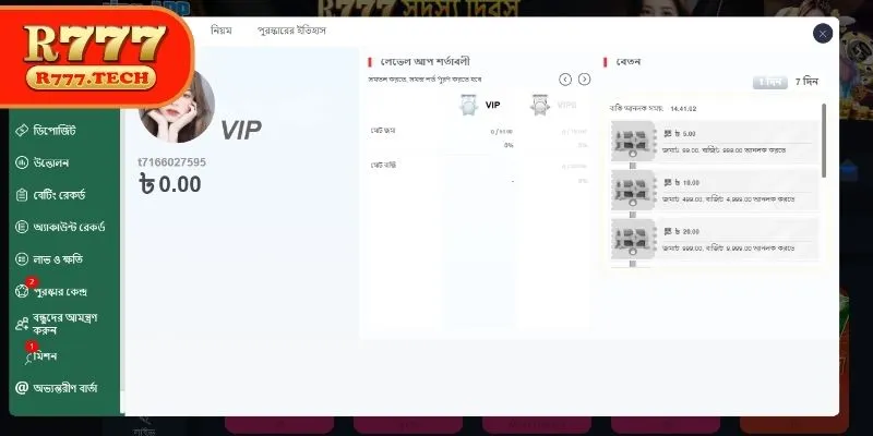 Elevating the Experience: Elite VIP Benefits