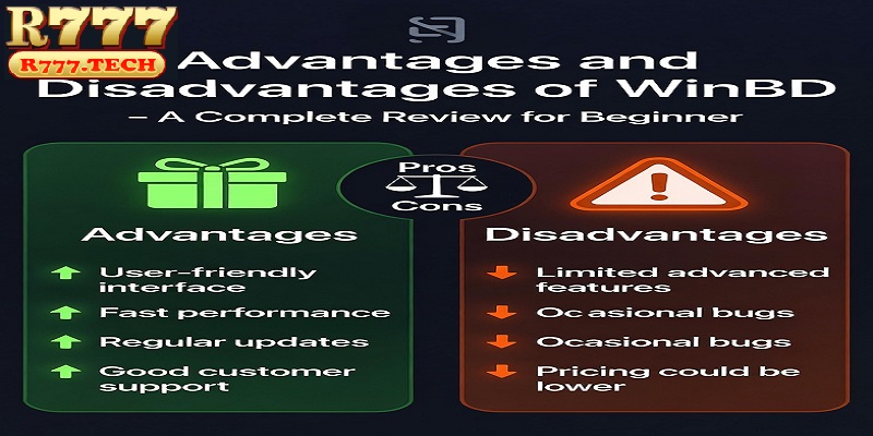 Advantages and Disadvantages of WinBD – A Complete Review for Beginner